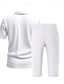 voordelige Vakantie-Voor heren Poloshirts Golfshirt Buiten Alledaagse kleding Revers Korte mouw Modieus Hawaii Effen 2-stuks Zomer Normale pasvorm Zwart Wit Marineblauw Khaki Leger Groen Licht Luchtblauw Poloshirts