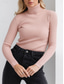 cheap Solid Colors-Women&#039;s Blouse Solid Color Tropical Stylish Casual Long Sleeve Turtleneck Regular Tops Daily Black White Pink Wine Khaki Spring Fall Winter
