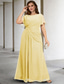 levne Délka podlahy-A-Line Plus Size Křivka Šaty pro matku nevěsty Elegantní Šaty Formální Svatební Host Podlahové Délky Bez Rukávů Ozdobný Výstřih Šifon s Nařasenými Krystaly 2025 volná zakázková velikost