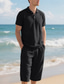 voordelige Vakantie-Voor heren Poloshirts Golfshirt Buiten Alledaagse kleding Revers Korte mouw Modieus Hawaii Effen 2-stuks Zomer Normale pasvorm Zwart Wit Marineblauw Khaki Leger Groen Licht Luchtblauw Poloshirts