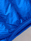 billige Herre Puffer Vest-Herre Dunvest Puffer Vest سترة Gilet Feriereise Daglig Stevnemøte Mote Fritid Høst vinter Lomme Polyester Dukke Ned Hold Varm Bekvem Helfarge Glidelås Høy krage Normal Svart Vin Navyblå Kongeblå Vest