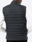preiswerte Herren Steppweste-Herren Steppweste Weste Gilet Urlaub Täglich Date Mode Lässig Winter Tasche Nylon Warm Bequem Einfarbig Reisverschluss Stehkragen Normale Passform Schwarz Gelb Wein Armeegrün Weste