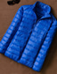 abordables Manteaux &amp; vestes-Homme Manteau d'Hiver Doudoune Veste Matelassée Avec Poches 50% duvet de canard blanc Vacances Tenue quotidienne Date Régulier Mode Occasionnel Confortable Chaleur Thermique Automne &amp; Hiver Couleur