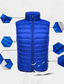 billige Herre Puffer Vest-Herre Dunvest Puffer Vest سترة Gilet Feriereise Daglig Stevnemøte Mote Fritid Høst vinter Lomme Polyester Dukke Ned Hold Varm Bekvem Helfarge Glidelås Høy krage Normal Svart Vin Navyblå Kongeblå Vest
