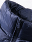 abordables Manteaux &amp; vestes-Homme Manteau d'Hiver Doudoune Veste Matelassée Avec Poches 50% duvet de canard blanc Vacances Tenue quotidienne Date Régulier Mode Occasionnel Confortable Chaleur Thermique Automne &amp; Hiver Couleur