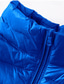 billige Herre Puffer Vest-Herre Dunvest Puffer Vest سترة Gilet Feriereise Daglig Stevnemøte Mote Fritid Høst vinter Lomme Polyester Dukke Ned Hold Varm Bekvem Helfarge Glidelås Høy krage Normal Svart Vin Navyblå Kongeblå Vest