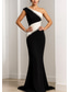 billiga Mermaid kvällsklänningar-Sjöjungfru trumpet Golvlång Balklänningar Kvälls klänningar Balklänning Formell klädsel Elegant Färgblock Ärmlös Enaxlad Formell Stretch crepe med Glitter Veckad