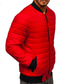 preiswerte Daunenjacken &amp; Parkas für Herren-Herren Wintermantel Daunenjacke Gefütterte Jacke Tasche Polyester Urlaub Alltagskleidung Date Regulär Mode Lässig Bequem Thermowarm Herbst Winter Einfarbig Schwarz Rot Marinenblau Blau Pufferjacke