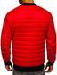 preiswerte Daunenjacken &amp; Parkas für Herren-Herren Wintermantel Daunenjacke Gefütterte Jacke Tasche Polyester Urlaub Alltagskleidung Date Regulär Mode Lässig Bequem Thermowarm Herbst Winter Einfarbig Schwarz Rot Marinenblau Blau Pufferjacke