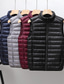 ieftine Vesta pufă pentru bărbați-Bărbați Vestă jos Γιλέκο Gilet Vacanță Zilnic Dată Modă Casual Toamnă Iarnă Buzunar Puf de Rață Poliester Cald Comfortabil Culoare solidă Fermoar Guler de stand Fit regulat Negru Roșu-aprins