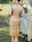 economico Set di abiti per la mamma-Abito a due pezzi in stile tubino  colonna abito da cocktail a lunghezza tè set di vestiti abito per invitata a matrimonio abito per madre della sposa maniche lunghe scollo a V elegante vintage festa