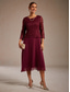 ieftine Rochie simplă-Pentru femei Rochii Midi Rochie A line Elegant Serată Invitat la nunta Dantelă Fit regulat Culoare solidă Lungime Manșon 3/4 Stil Nautic Roșu Vin