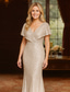 cheap Floor Length-Sheath Column Floor Length Sequin Dress Prom Dress Party Dress Mother of the Bride Dress Sleeveless V Neck Elegant Vintage Party with Sequin