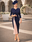 abordables Conjuntos de vestidos para mamá-Dos Piezas Funda Columna Hasta la Rodilla Vestido Invitada Boda Vestido de Madrina Sin Mangas Hombros Caídos Elegante Invitado a la boda Noche formal Fiesta de Boda Tejido elástico Vestidos cortos de