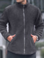 abordables Chaquetas y abrigos de hombre-Hombre Abrigo de invierno Abrigo de peluche Chaqueta casual Casual Diario Mantiene abrigado Bolsillo Full Zip Otoño Invierno Plano Ropa de calle Diario Cuello Mao Regular Azul Piscina Negro Azul