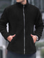 abordables Chaquetas y abrigos de hombre-Hombre Abrigo de invierno Abrigo de peluche Chaqueta casual Casual Diario Mantiene abrigado Bolsillo Full Zip Otoño Invierno Plano Ropa de calle Diario Cuello Mao Regular Azul Piscina Negro Azul