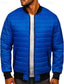 voordelige Heren donsjassen &amp; parka's-Voor heren Winterjas Pufferjas Zak Polyester Vakantie Alledaagse kleding Afspraakje Normaal Modieus Casual Comfortabel Thermisch Warm Herfst winter Effen / effen kleur Zwart Rood Blauw Leger Groen