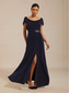 preiswerte Einfaches Kleid-Damen Maxikleid A Linie Kleid Elegant Abendgesellschaft Abschlussfeier Plissiert Normale Passform Einfarbig Ärmellos Rundhalsausschnitt Marineblau