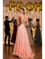 ieftine Rochii lungi și rochii de seară-Linia -A Lungime Podea Rochie pentru invitata de nunta Rochie formala Rochie de seara Rochie Mama Miresei Fără manșon Pătrunderea cremelor Elegant Oficial Absolvire Șifon cu Volane