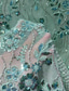 ieftine Rochii de seară sirenă-Seara Sirenă / Trompetă Lungime Podea Rochii de seara Rochie de bal cu fustă lungă Elegant strălucitoare Floral Manșon scurt În V Serată Petrecere în grădină Șifon Tulle cu Flori brodată Paiete