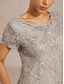 cheap Floral Dress-Women's Maxi Dress A Line Dress Elegant Evening Party Lace up Sequins Floral Short Sleeve Crew Neck Light Grey