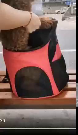 play video