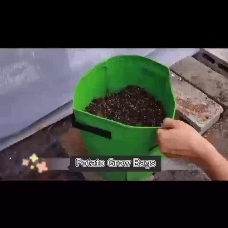 play video
