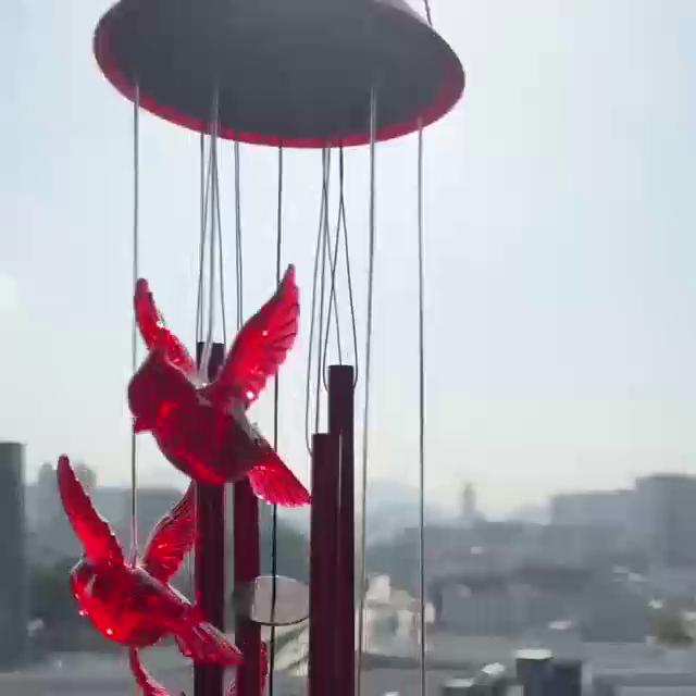 play video