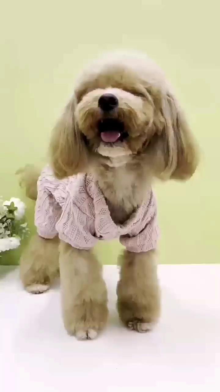 play video