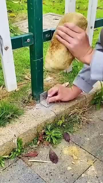 play video
