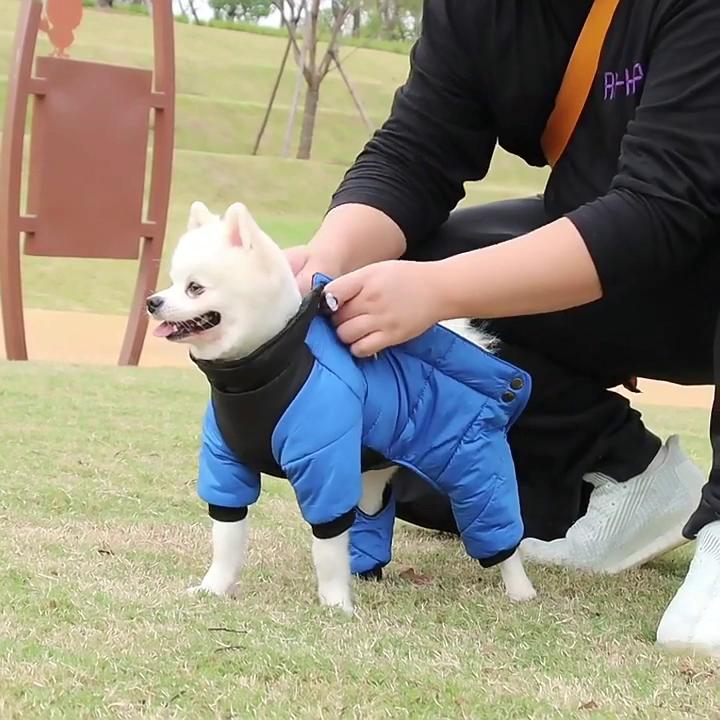 play video