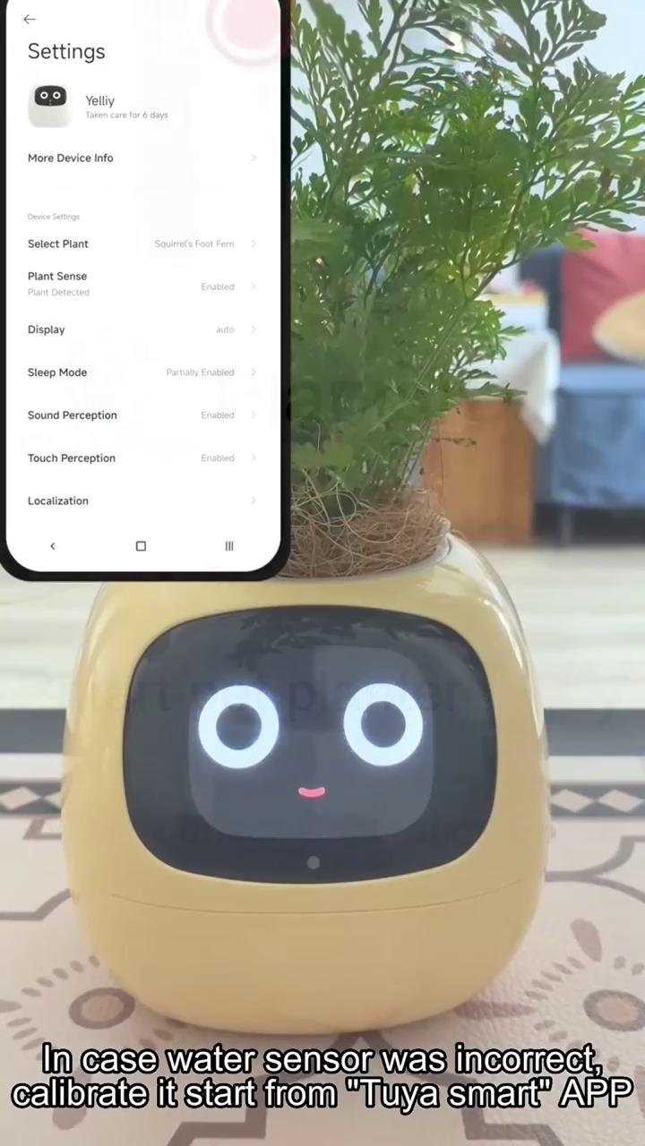 play video