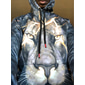 Hombre Animal León 3D Sudadera Sudaderas Activo Manga Larga Con Capucha Fin de semana Azul vaquero Negro Azul Piscina Morado Naranja Estampado Otoño Invierno Diseñador S M L XL XXL 3XL