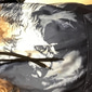 Homme Sweat à capuche Sweats à capuche Sweatshirt Bleu Noir et Blanc 1 2 3 Designer S M L XL 2XL 3XL