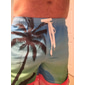 Homme Graphique Cocotier Maillots de bain Shorts de bain Shorts de Surf Taille Moyenne Streetwear Hawaïen Boho Occasionnel Quotidien Fête Cordon de serrage Taille Élastique Impression 3D Designer