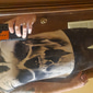 Camiseta gráfica de hombre calaveras impresión de calaveras camiseta retro camiseta de manga corta camiseta de impresión 3D camiseta de cuello redondo diseñador vintage estilo retro calle diaria