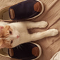 scarpe casual slip-on da uomo – mocassini in tela traspirante con suola antiscivolo per passeggiate e viaggi quotidiani