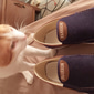 scarpe casual slip-on da uomo – mocassini in tela traspirante con suola antiscivolo per passeggiate e viaggi quotidiani