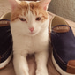 scarpe casual slip-on da uomo – mocassini in tela traspirante con suola antiscivolo per passeggiate e viaggi quotidiani