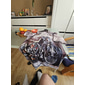 Bărbați Grafic Μηχανή Tricou Tricou Motocicletă Manșon scurt Tricou Tipărire 3D Stil Nautic Cămașă Epocă Modă Designer În aer liber Zilnic Sport 1 2 3 Primavara vara Îmbrăcăminte S M L XL 2XL 3XL