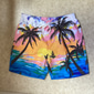 Homme Graphique Cocotier Maillots de bain Shorts de bain Shorts de Surf Taille Moyenne Streetwear Hawaïen Boho Occasionnel Quotidien Fête Cordon de serrage Taille Élastique Impression 3D Designer