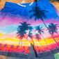 Per uomo Grafico Albero di Cocco Costumi da bagno Pantaloncini da mare Pantaloncini da Surf Misura del girovita medio Streetwear Hawaiano Boho Casuale Quotidiano Ferie Coulisse Elastico in vita