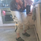 Hombre Pantalones cargo Persona que practica jogging Pantalones Pantalones Cortos Correa Cintura elástica Multi bolsillo Letra Comodidad Listo para vestir Casual Diario Festivos Deportes Moda Negro