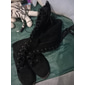 bottes en daim à lacets au-dessus du genou pour femmes avec talon plat – élégantes et confortables pour une tenue décontractée et hivernale