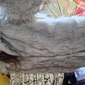 Per uomo Cappotto invernale Giacca invernale Cappotto di pelliccia Da tutti i giorni Da mare Morbido All'aperto Tasche Inverno Colore puro Top caldi Comoda Bavero Nero Bianco Marrone Grigio chiaro