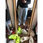 Per uomo Pantaloni da tuta Pantaloni in Pile Joggers Pantaloni Pantaloni della tuta a gamba dritta Elastico in vita Baggy Gamba Dritta Tinta unica Semplice Confortevole Traspirante Lunghezza intera