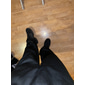 Per uomo Pantaloni da tuta Pantaloni in Pile Joggers Pantaloni Pantaloni della tuta a gamba dritta Elastico in vita Baggy Gamba Dritta Tinta unica Semplice Confortevole Traspirante Lunghezza intera