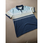 Homme Rayé Chemises Polo Gaufre Chemise de golf Manche Courte Polos Chemises à Col Vêtement décontracté de travaile Vêtements de travail Tenue formelle Vêtements de festival Impression 3D Boutons
