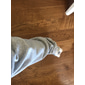 Per uomo Pantaloni da tuta Pantaloni in Pile Joggers Pantaloni Pantaloni della tuta a gamba dritta Elastico in vita Baggy Gamba Dritta Tinta unica Semplice Confortevole Traspirante Lunghezza intera