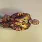 Hombre Graphic Animal Peces Vikingo Sudadera Sudaderas Ropa de calle Básico Casual Longitud Larga Manga Larga Con Capucha Casual Diario Ropa de calle Festivos Noche Azul Piscina Blanco Amarillo Rojo